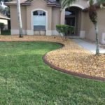 Front yard landscaping